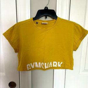 Cropped gymshark top